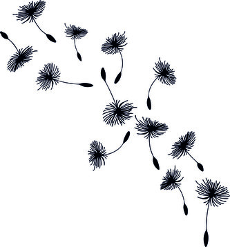 ARTEMISS Chmýří pampelišky - plastová šablona 340 Rozměr: G 29x29cm