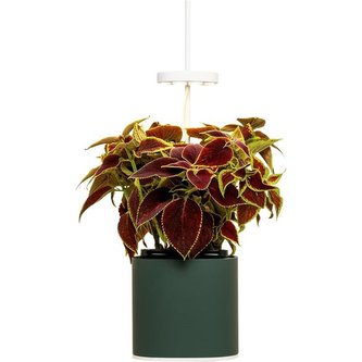 Pret a Pousser Nano, forest green