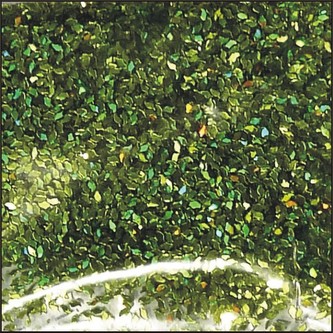 ARTEMISS Glitr hrubý Velikost: 500g, Odstín: jarní zelená