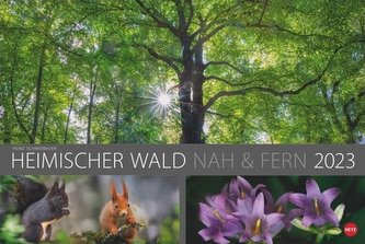 Wald nah und fern Edition Kalender 2023 Wald nah und fern Edition Kalender 2023