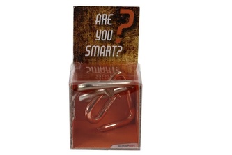 RECENTTOYS Are you Smart