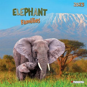 Elephant Families 2023