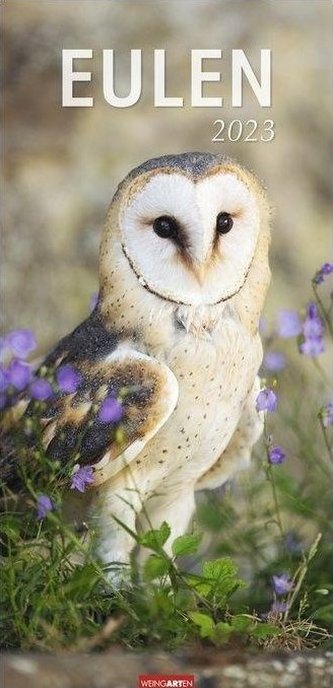 Eulen Kalender 2023