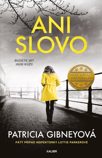 Ani slovo