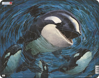 Puzzle MAXI - Velryba/50 dílků