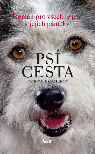 Psí cesta