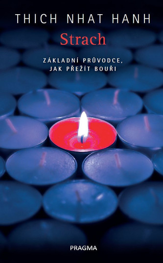 Strach. Základní průvodce, jak přežít...