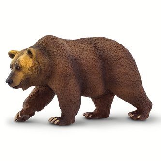 Medvěd Grizzly