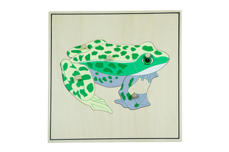 Puzzle s kostrou - žába