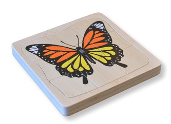 Životní cyklus motýla