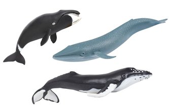 Obři oceánů (3 ks)