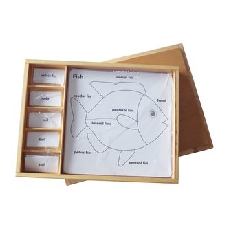 Sada aktivit k zoologickým puzzle (popisky v ANJ)