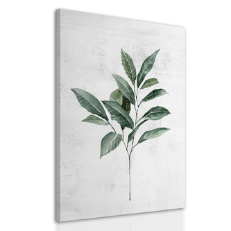 Obraz na plátně ZELENÝ LIST 40x60 cm Ludesign