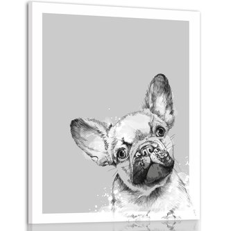Obraz na plátně ZVĚDAVÝ BULDOČEK 80x60 cm Ludesign