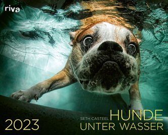 Hunde unter Wasser 2023 Hunde unter Wasser 2023