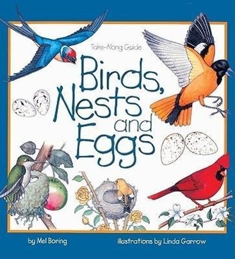 Birds, Nests, and Eggs
