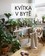 Kvítka v bytě Kvítka v bytě