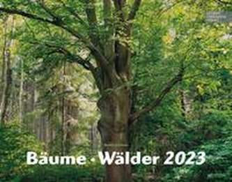 Bäume-Wälder 2023