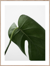 Obraz v rámu LEAF 50x70 cm Styler