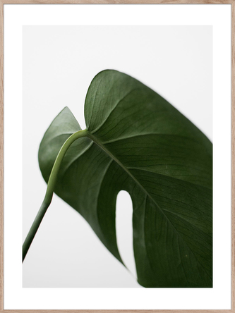 Obraz v rámu LEAF 50x70 cm Styler