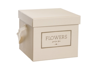 Flower box krémový 15x15x13 cm