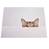 Obraz na plátně, 0/24