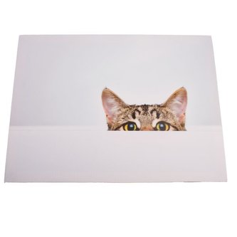 Obraz na plátně, 0/24