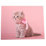 Obraz na plátně, 0/24