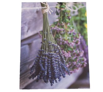 Obraz na plátně, 0/24