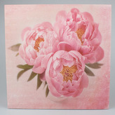 Obraz na plátně, 0/24