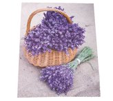 Obraz na plátně, 0/24