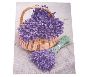 Obraz na plátně, 0/24