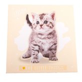 Obraz na plátně, 0/48