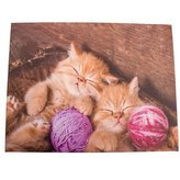 Obraz na plátně, 0/24