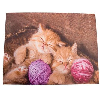 Obraz na plátně, 0/24