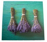 Obraz na plátně, 0/18