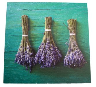 Obraz na plátně, 0/18