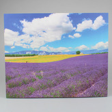 Obraz na plátně, 0/18