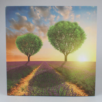 Obraz na plátně, 0/18