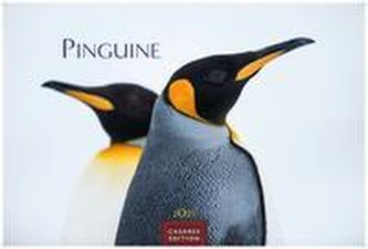 Pinguine 2023 L 35x50cm