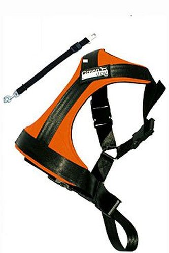 Postroj pes Bezpečnostní do auta GreenDog XS oranžová