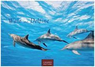 Wale und Delfine 2023 S 24x35cm