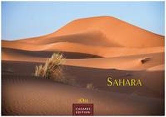 Sahara 2023 L 35x50cm