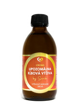 Zdravý Svet Lipozomální kloubní výživa 250 ml