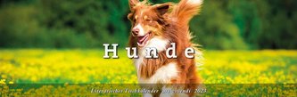 Tischkalender Hunde 2023