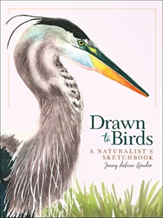 Drawn to Birds Drawn to Birds