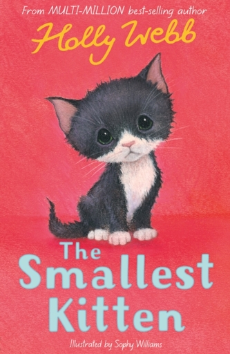 The Smallest Kitten The Smallest Kitten