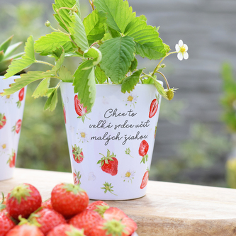 Květináček Jahoda - Chce to veľké srdce učiť malých žiakov.