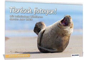 Kalender Tierisch fotogen! Mit heimischen Wildtieren durchs Jahr 2023