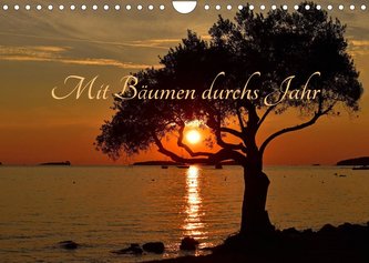 Mit Bäumen durchs Jahr (Wandkalender 2023 DIN A4 quer)
